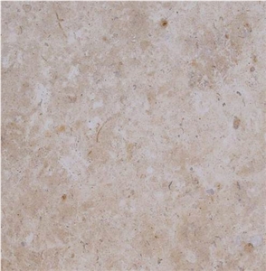 Avignon Limestone