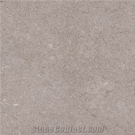 Azul Bateig Limestone Tile