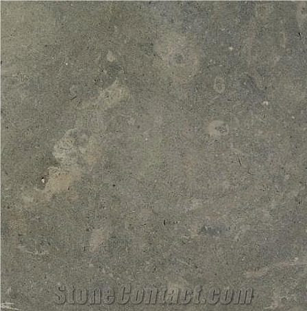 Azul Cascais Limestone Tile