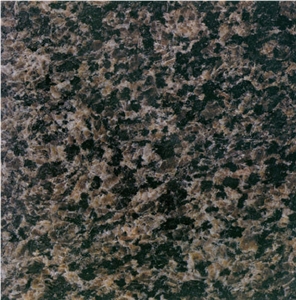 Bamboo Leafage Black Granite