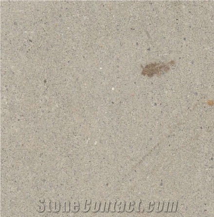 Barcice Grey Sandstone importance=
