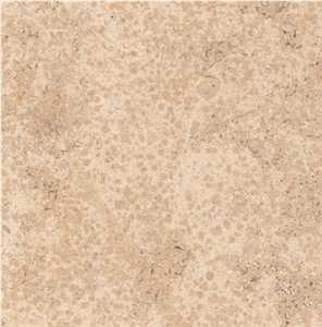 Barcy Limestone