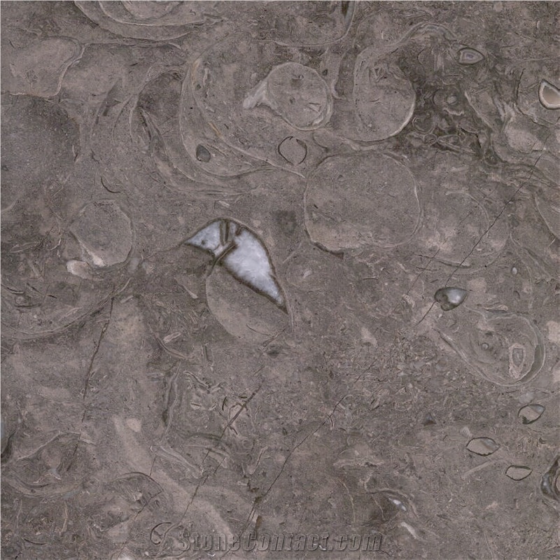 Barranca Grey Limestone importance=