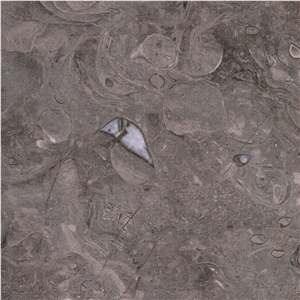 Barranca Grey Limestone