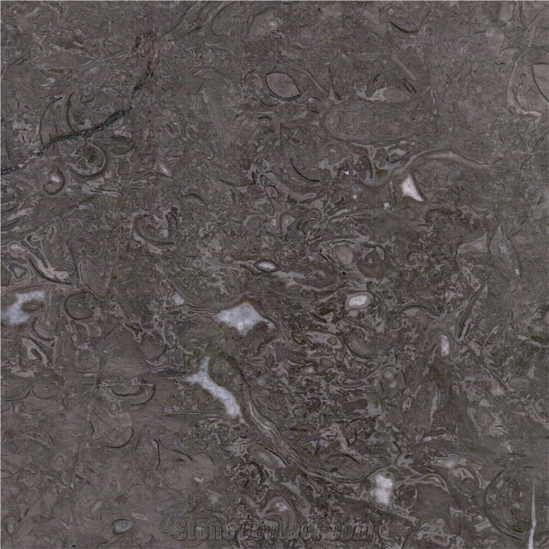 Barranca Grey Limestone Tile