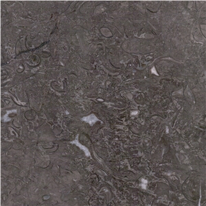 Barranca Grey Limestone Tile