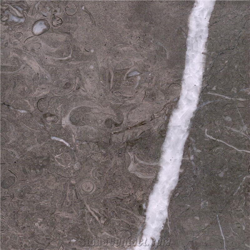 Barranca Grey Limestone Tile