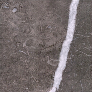 Barranca Grey Limestone Tile