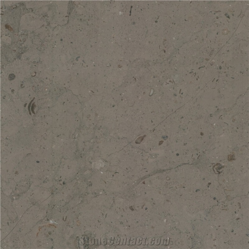 Barranca Limestone importance=