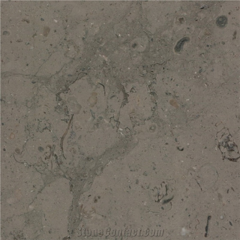 Barranca Limestone Tile