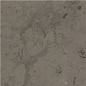 Barranca Limestone Tile