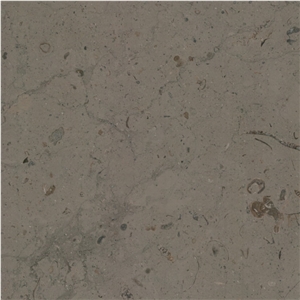 Barranca Limestone Tile