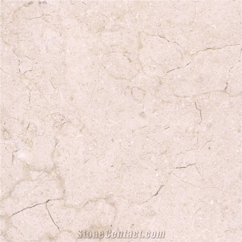 Baschioi Limestone importance=