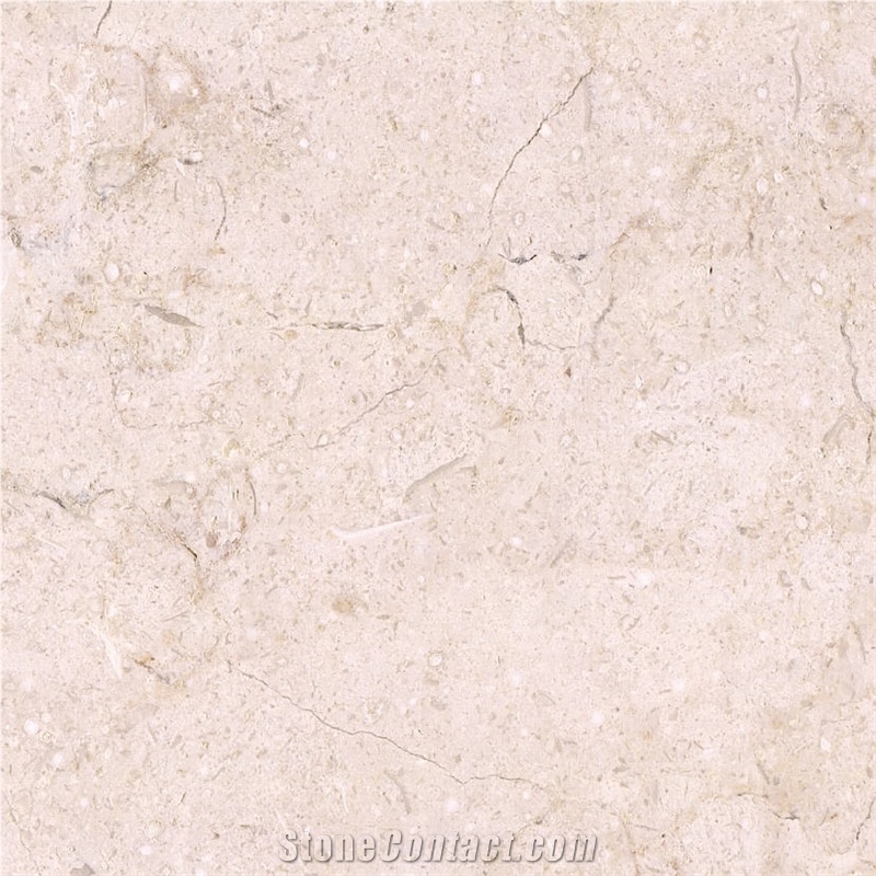 Baschioi Limestone Tile