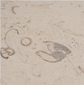Beaulieu B5 Limestone