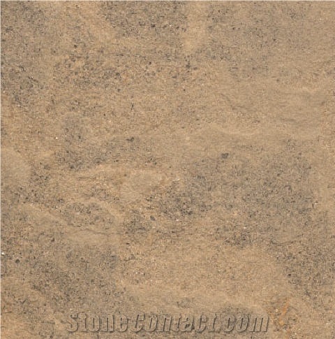 Bedonia Sandstone importance=
