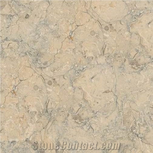 Beige Fantasy Limestone importance=