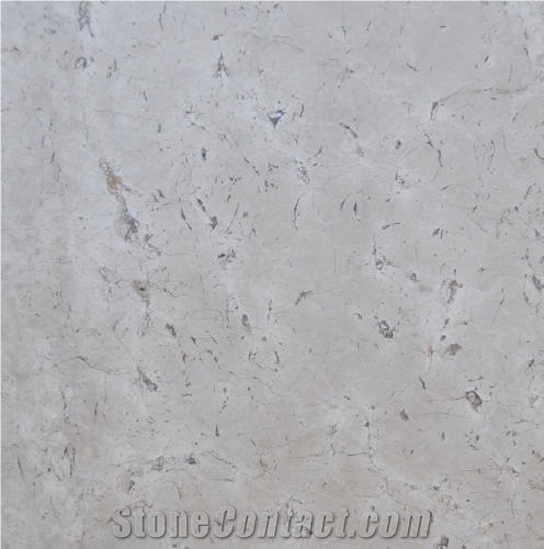 Beige Mesh Limestone importance=