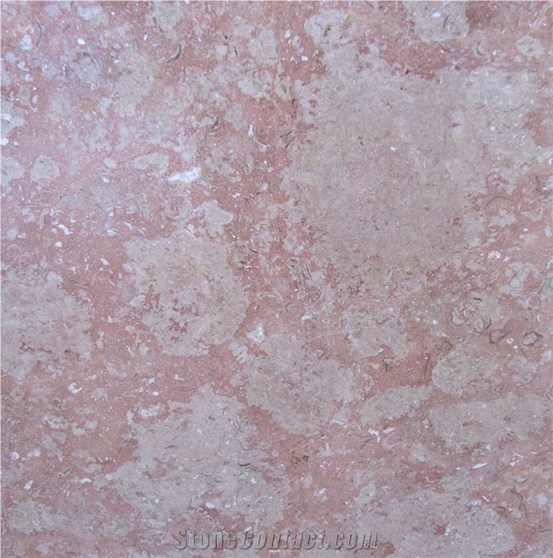 Beige Rose importance=