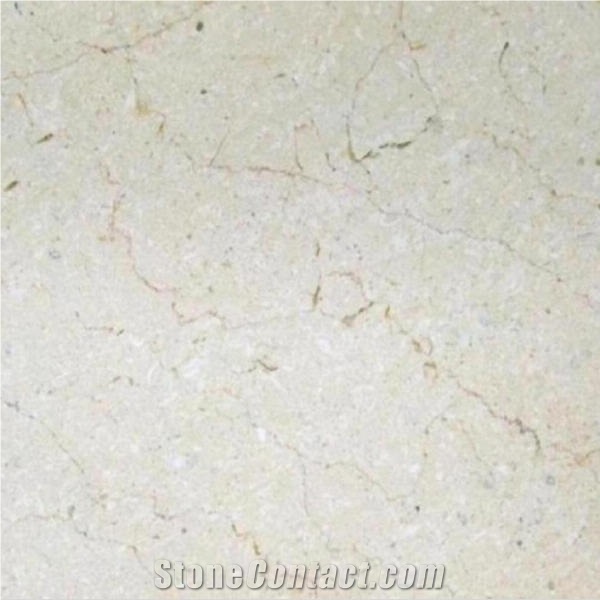 Bela Marble importance=
