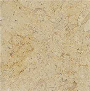 Belgian Truffles Tile