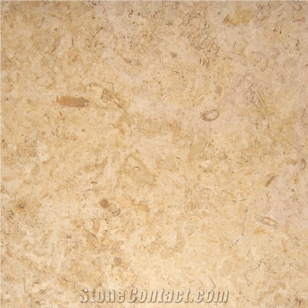Belgian Truffles Tile