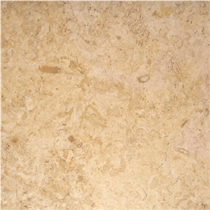 Belgian Truffles Tile