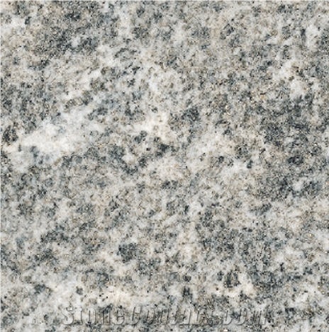 Beola Grigia Servezzo Gneiss Tile