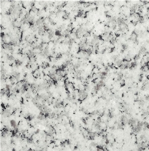 Bianco Argento Granite