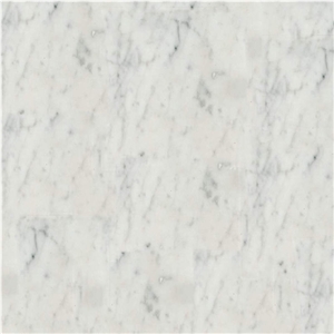 Bianco Carrara Unito C Marble Tile