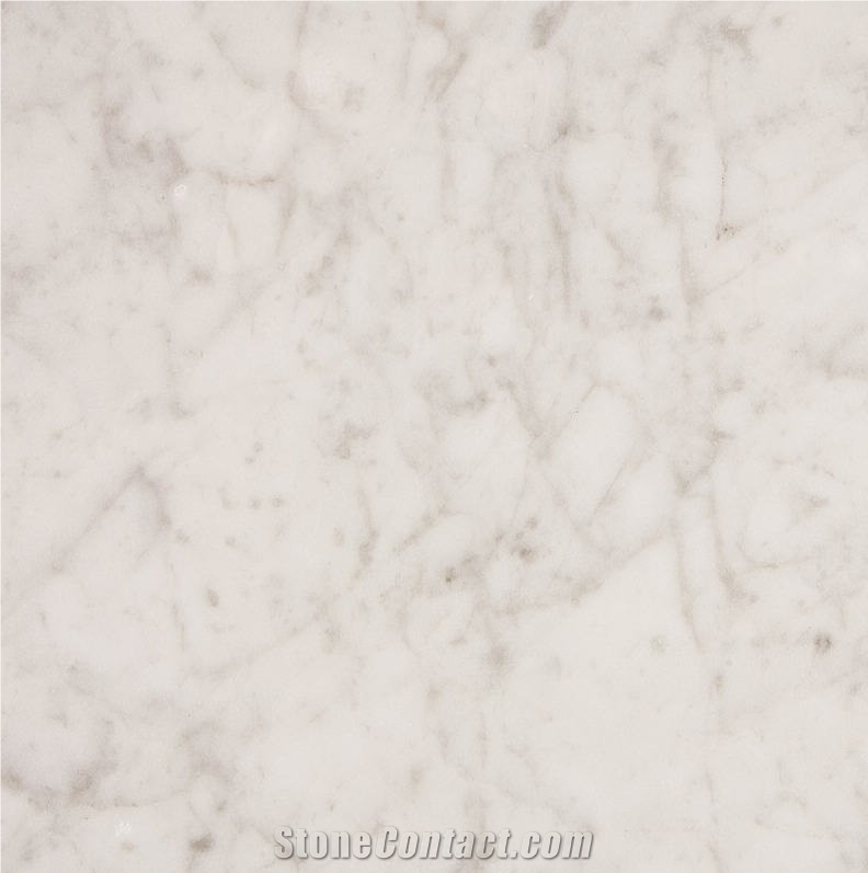 Bianco Carrara Unito D Marble importance=
