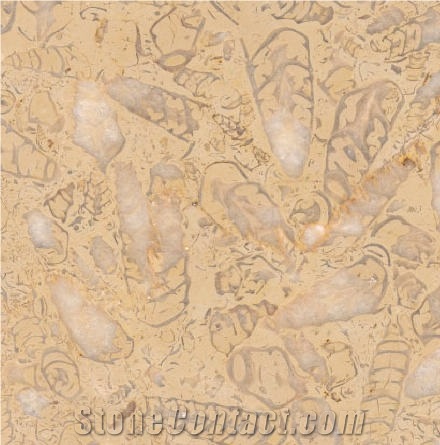 Bichos Limestone importance=