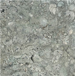 Birzeit Grey Limestone