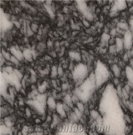Black Alaki importance=