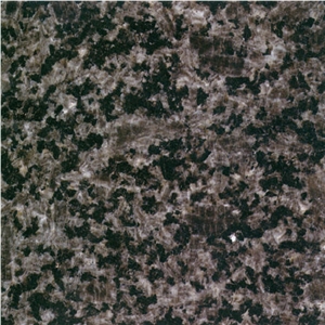 Black Ice Dapple