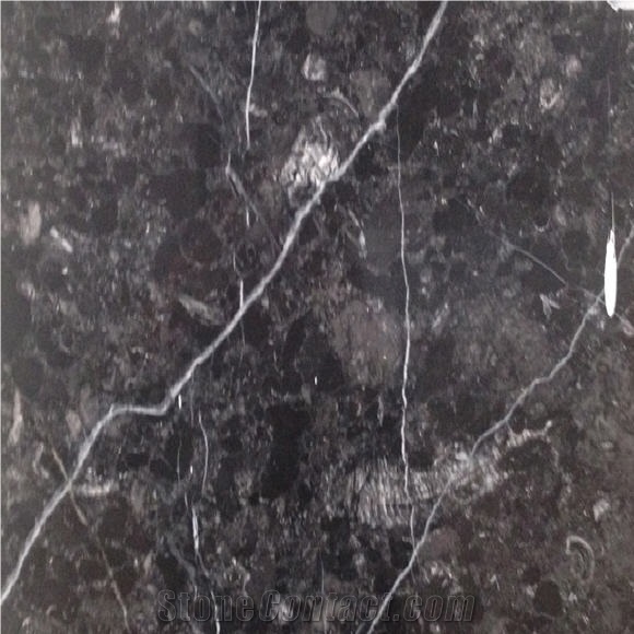 Black Infinity Marble importance=