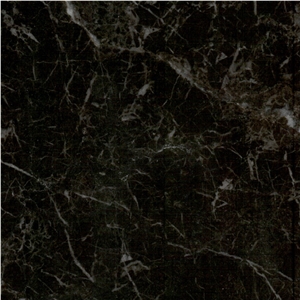 Black Iris Marble Tile