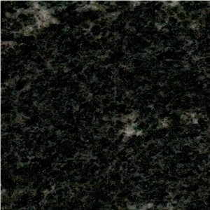 Black Oasis Granite Tile