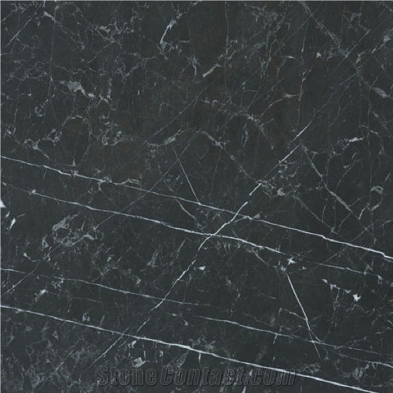 Black Portoro Marble importance=