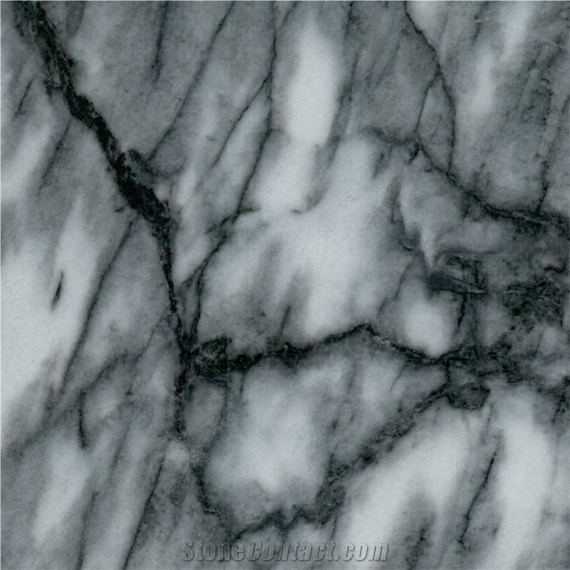 Black Sparrow Marble Tile