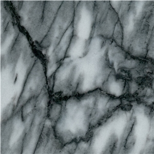 Black Sparrow Marble Tile