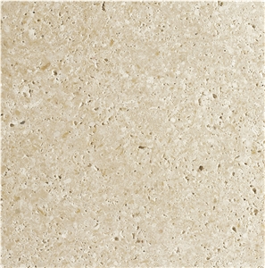 Blanco Fossil