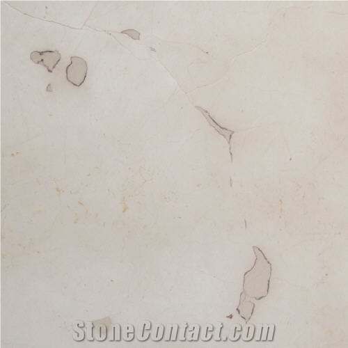 Blanco Marfil Marble importance=