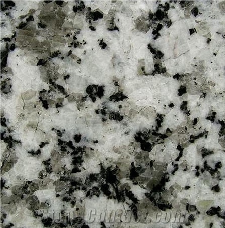 Blanco Nava Tile