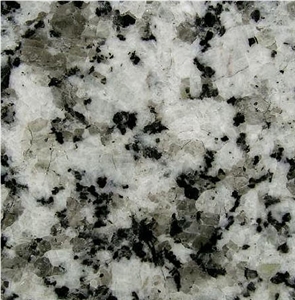 Blanco Nava Tile