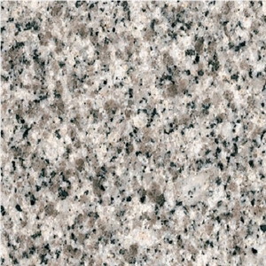 Blanco Real Tile
