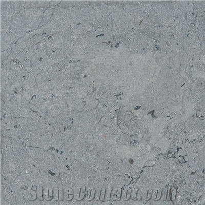 Blue Wath Limestone importance=