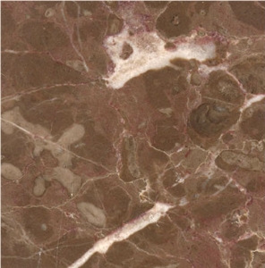 Bolechowice Limestone