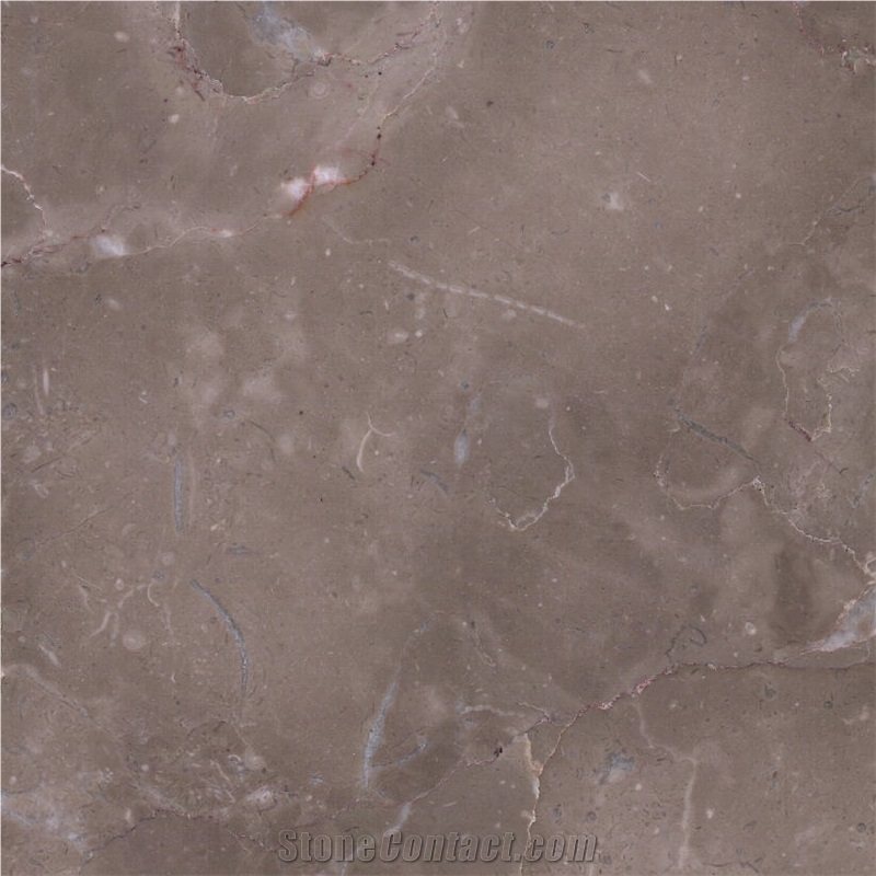 Bosy Grey Marble importance=