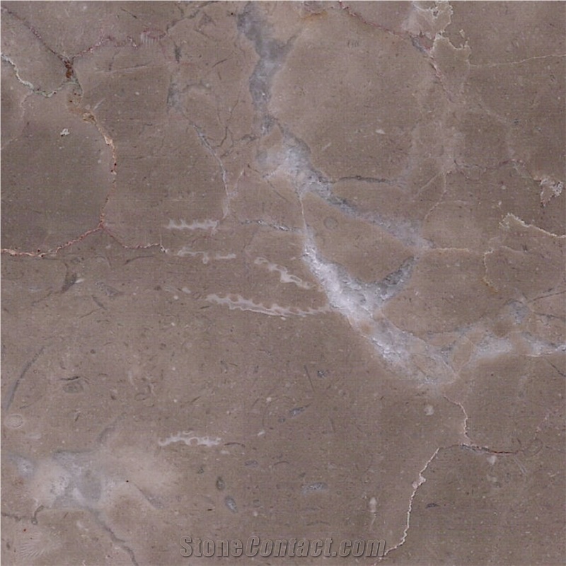 Bosy Grey Marble Tile